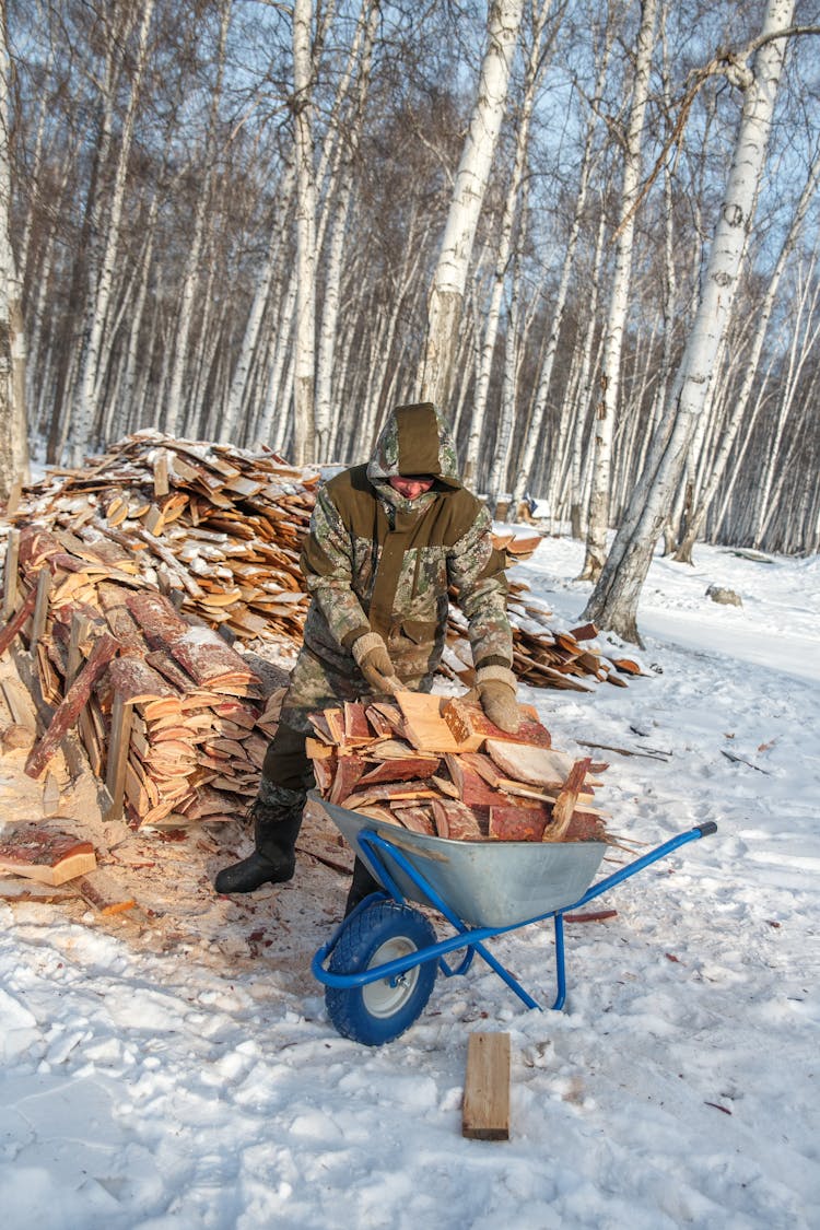 Man Putting Firewoods On Wheelbarrow