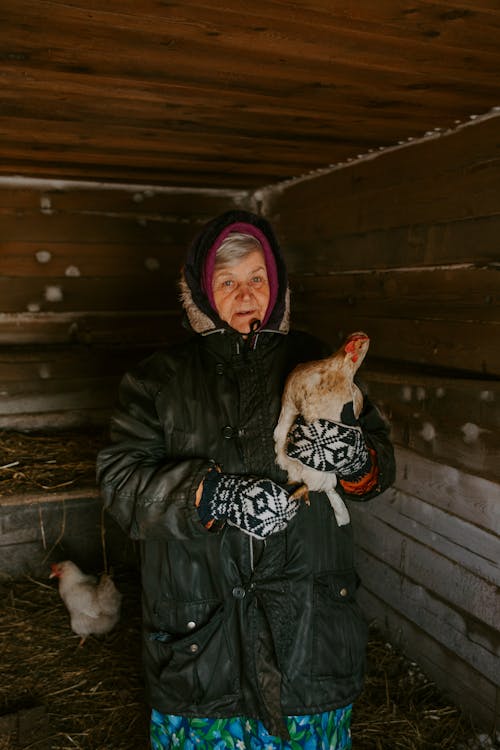 Бесплатное стоковое фото с вертикальный выстрел, домашний скот, женщина