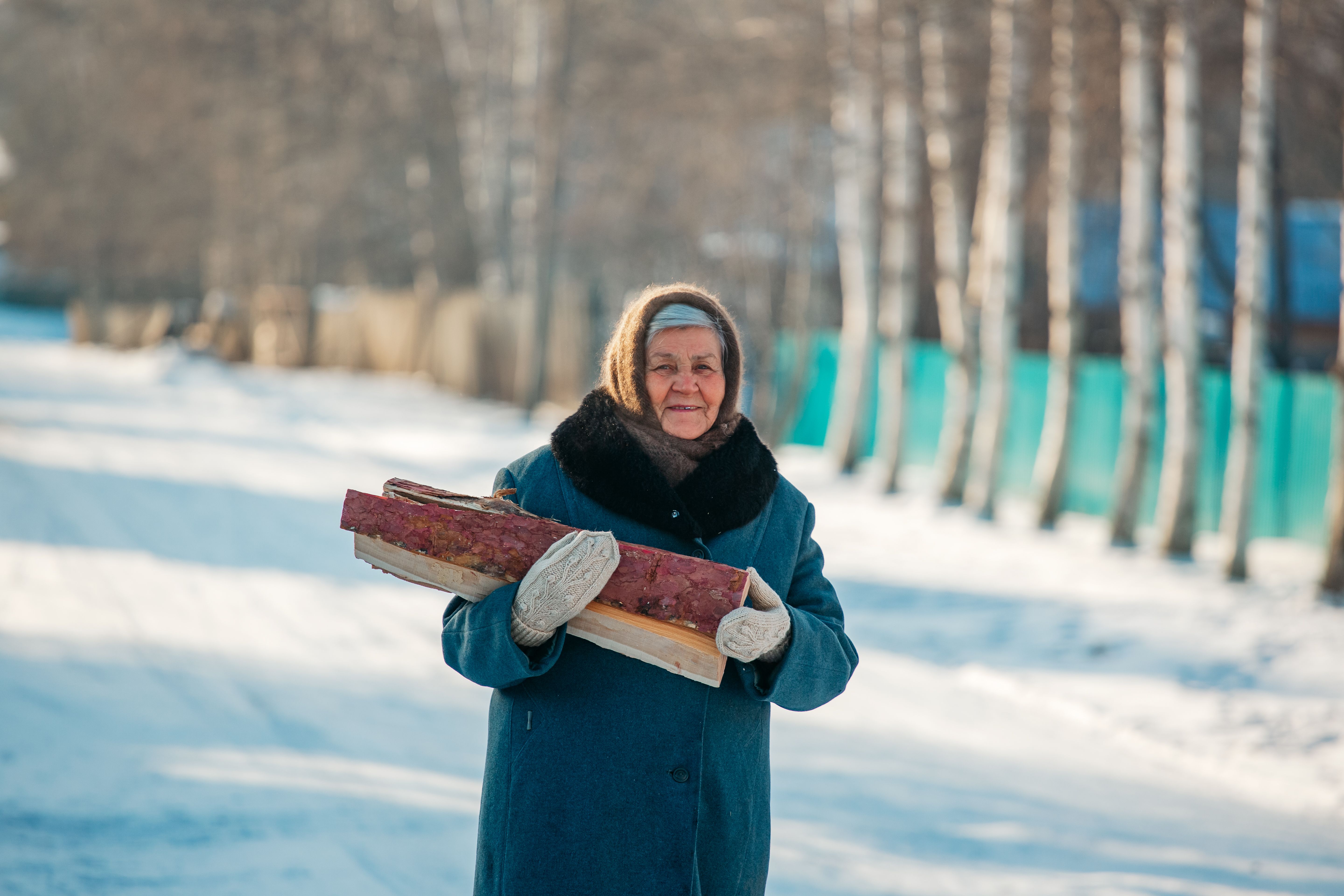 Woman in Blue Coat Holding Brown Firewoods · Free Stock Photo