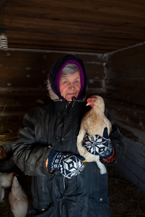 A Portrait of an Elderly Woman Holding a Chicken
