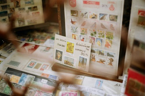 Showcase with assorted postage stamps with illustrations of birds and artworks for sale in shop