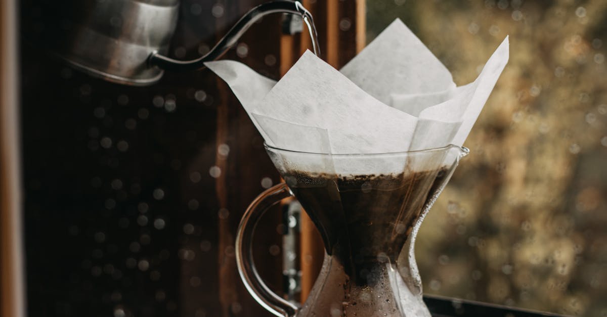 How to grow mushrooms at home with coffee grounds