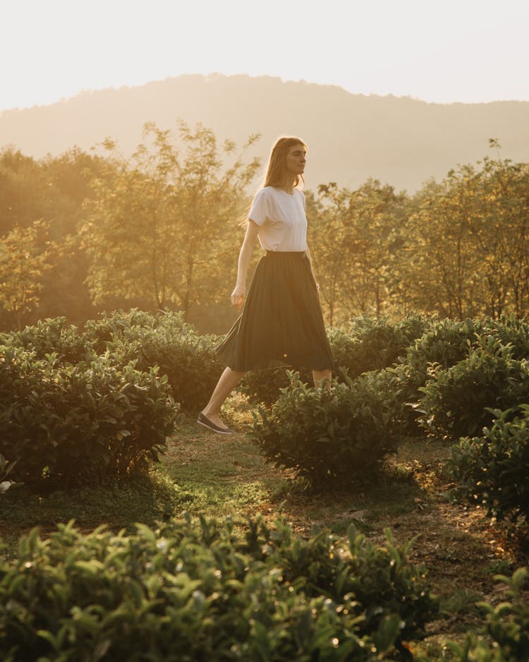 Stylish Woman Walking On Meadow