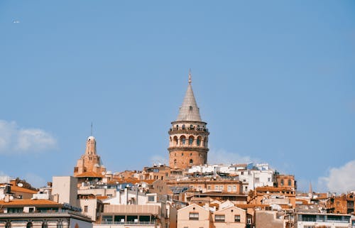 Houses Near the Tower