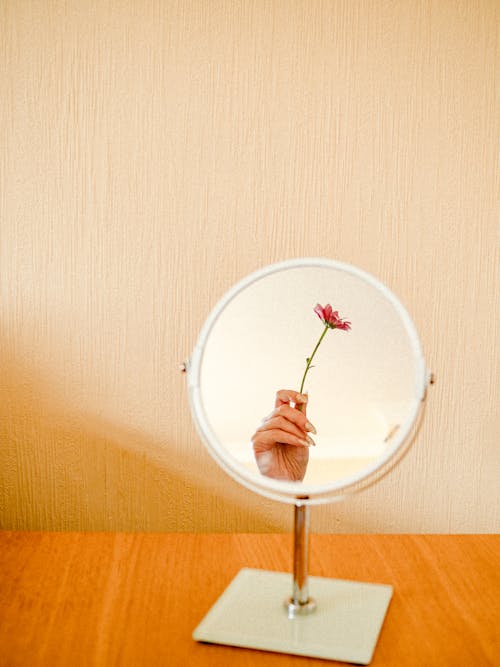 Foto profissional grátis de espelho, flor cor-de-rosa, holding