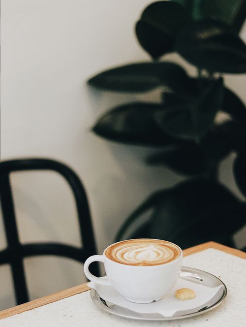Free Tasty coffee with latte art on froth in ceramic cup on napkin with sugar piece in cafeteria Stock Photo