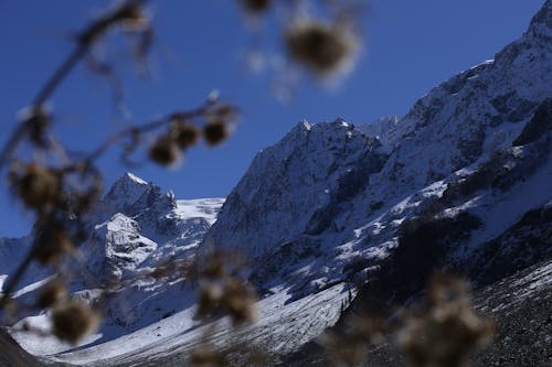 Immagine gratuita di 2020 wallpaper, fotografare, sfondo 4k