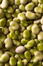 Green Round Fruits in Close Up Photography