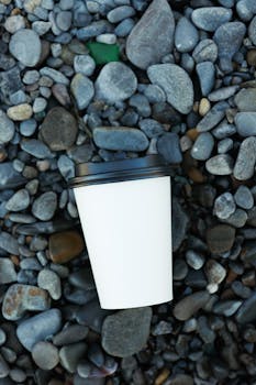 White disposable coffee cup placed on diverse pebble stones, creating a contrast.