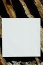 A White Printer Paper on Brown Rock