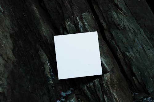 Free White Printer Paper on Black and Gray Rock Stock Photo