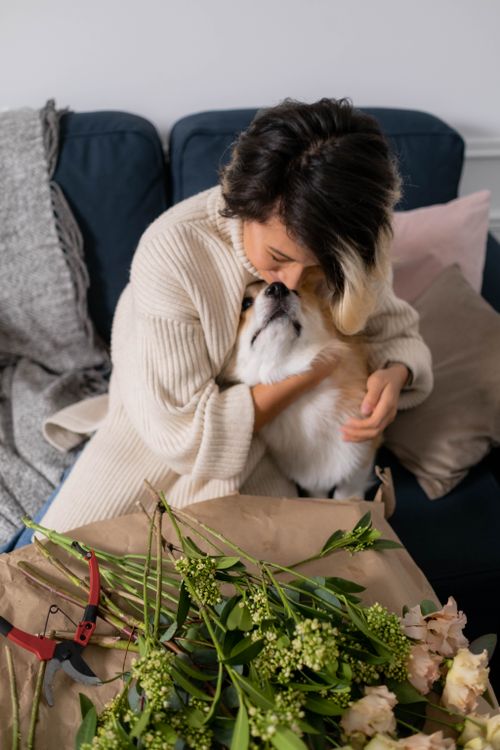 Free A woman warmly embraces her corgi dog on a sofa indoors, surrounded by flowers. Stock Photo