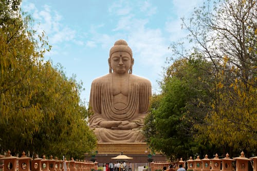 Immagine gratuita di alberi, antico, grande statua del buddha