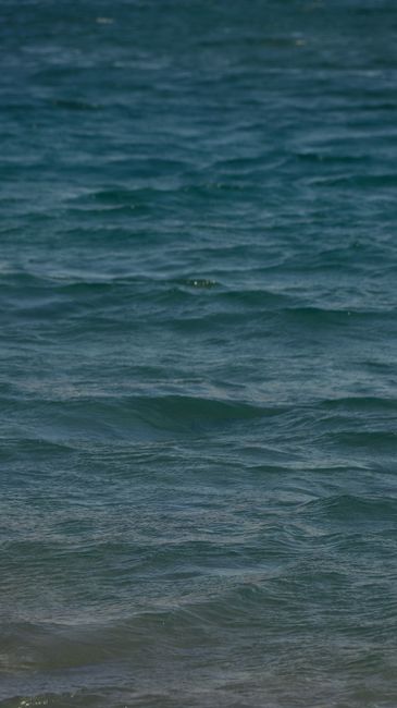 Fotomural Una superficie oceánica tranquila con olas suaves bajo un cielo despejado, perfecta para un fondo sereno.