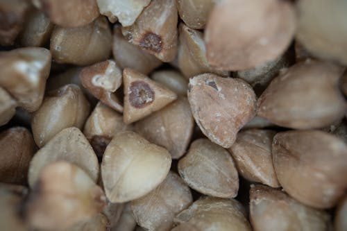 Free Extreme Close-up of Seeds Stock Photo