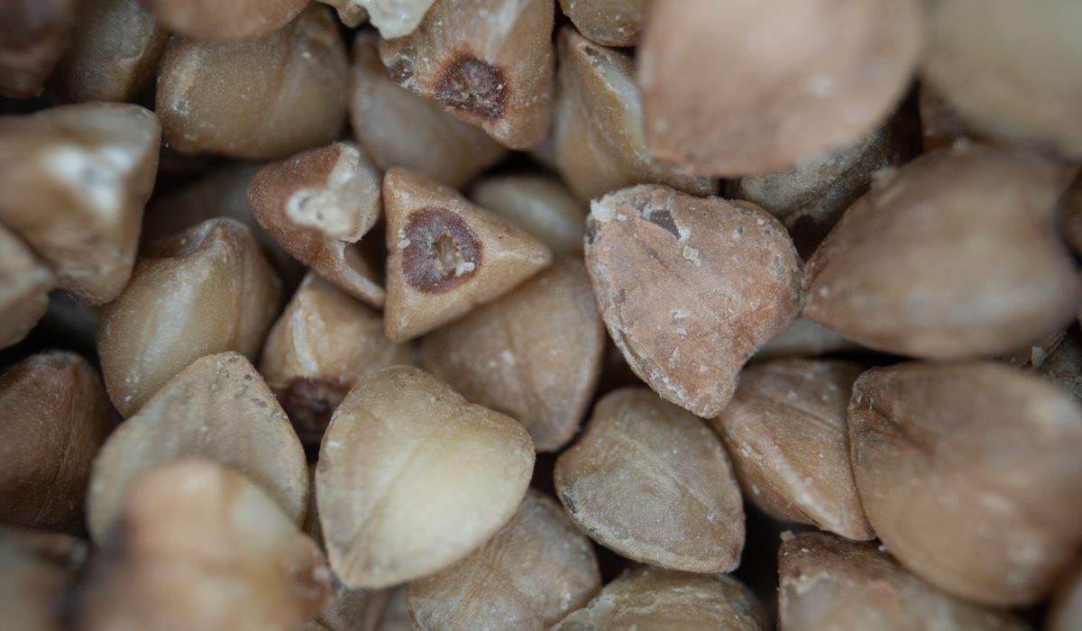 cereales autorisees interdites gluten illustration principale