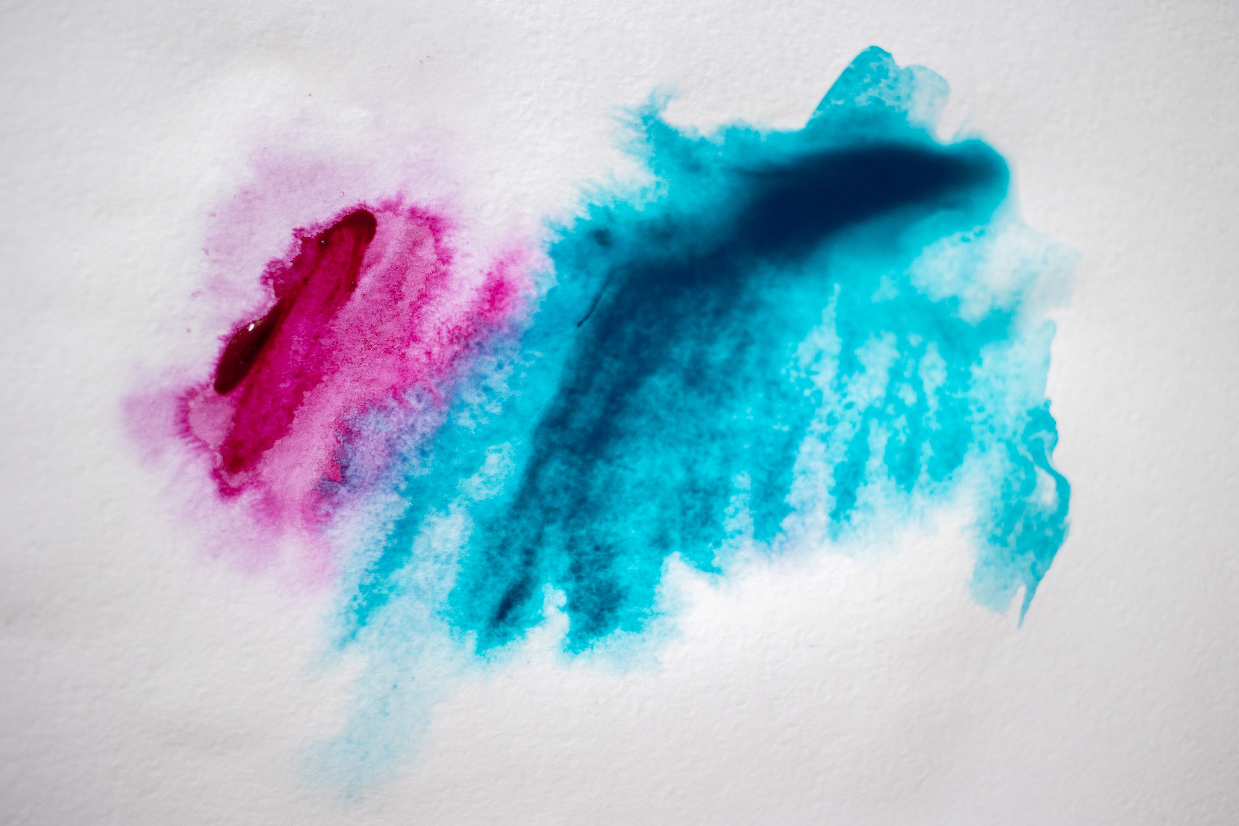 Muestra de colores de estampado