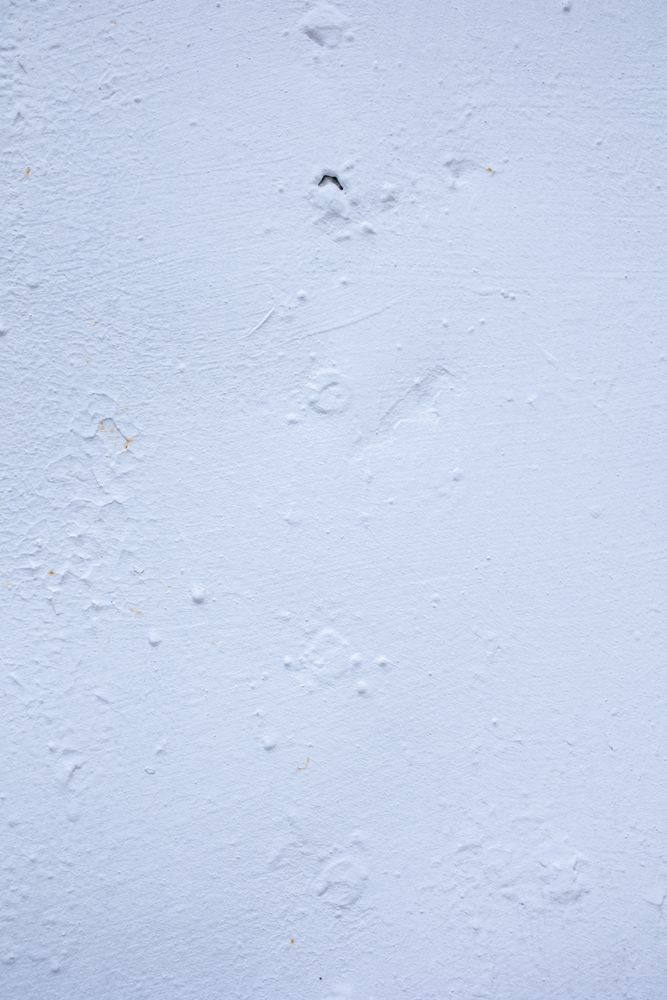 Whitish Background Photos, Download The BEST Free Whitish Background ...