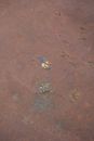 Old stone surface with spots