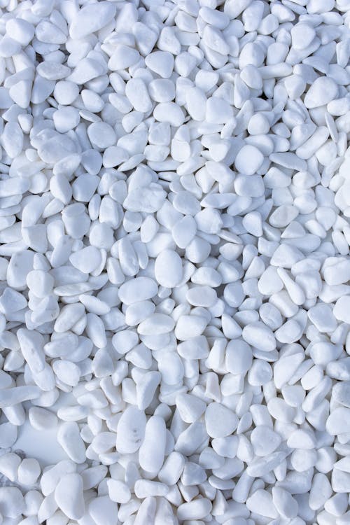 A Close-Up Shot of a White Pebbles