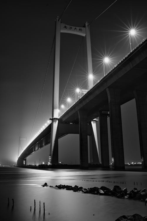 Grayscale Photo of a Bridge at Night
