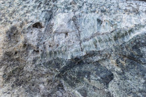 Textured background of rough rock