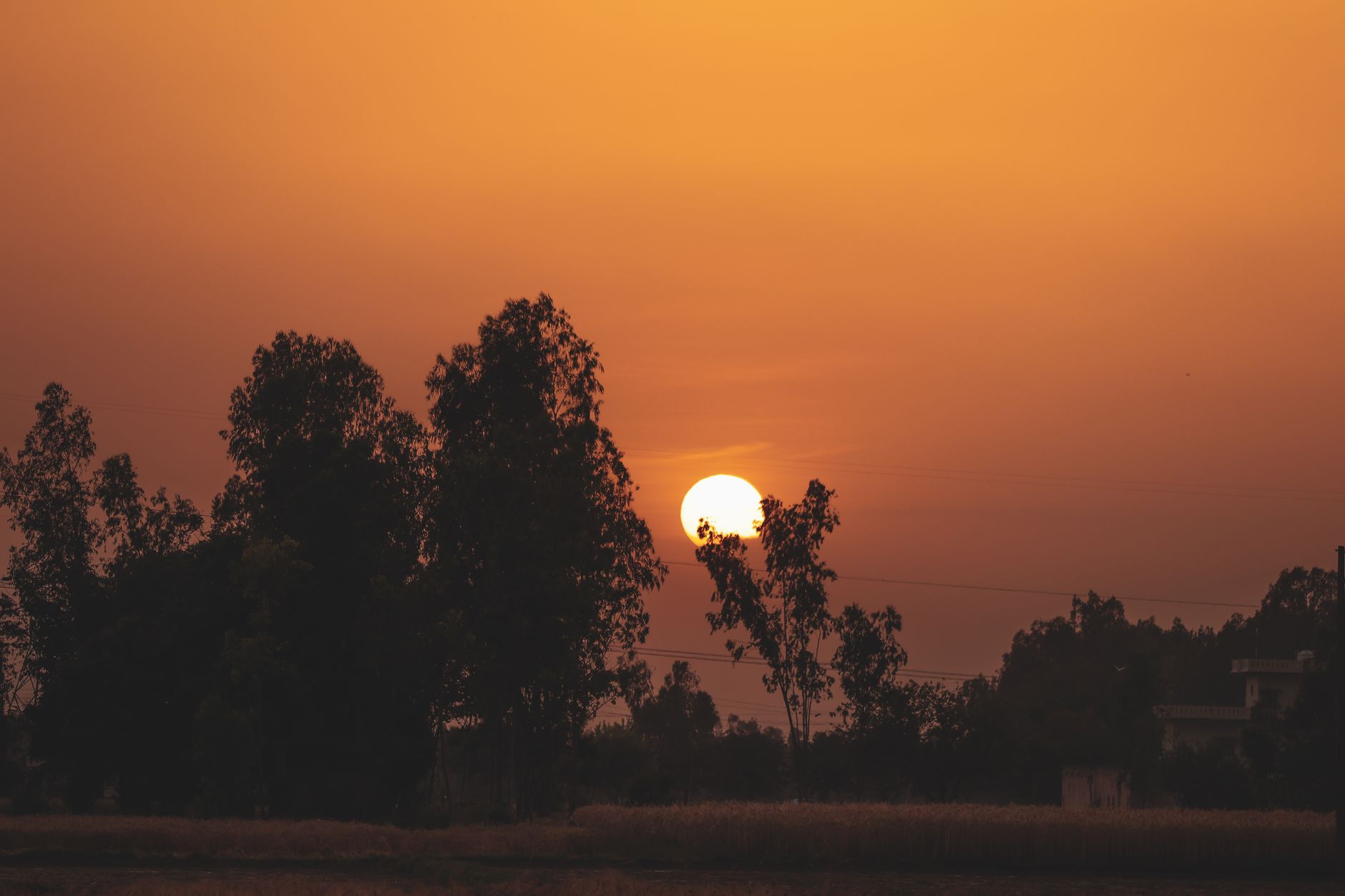 Daily 10‑Minute Gratitude Journal for Solo Travelers
