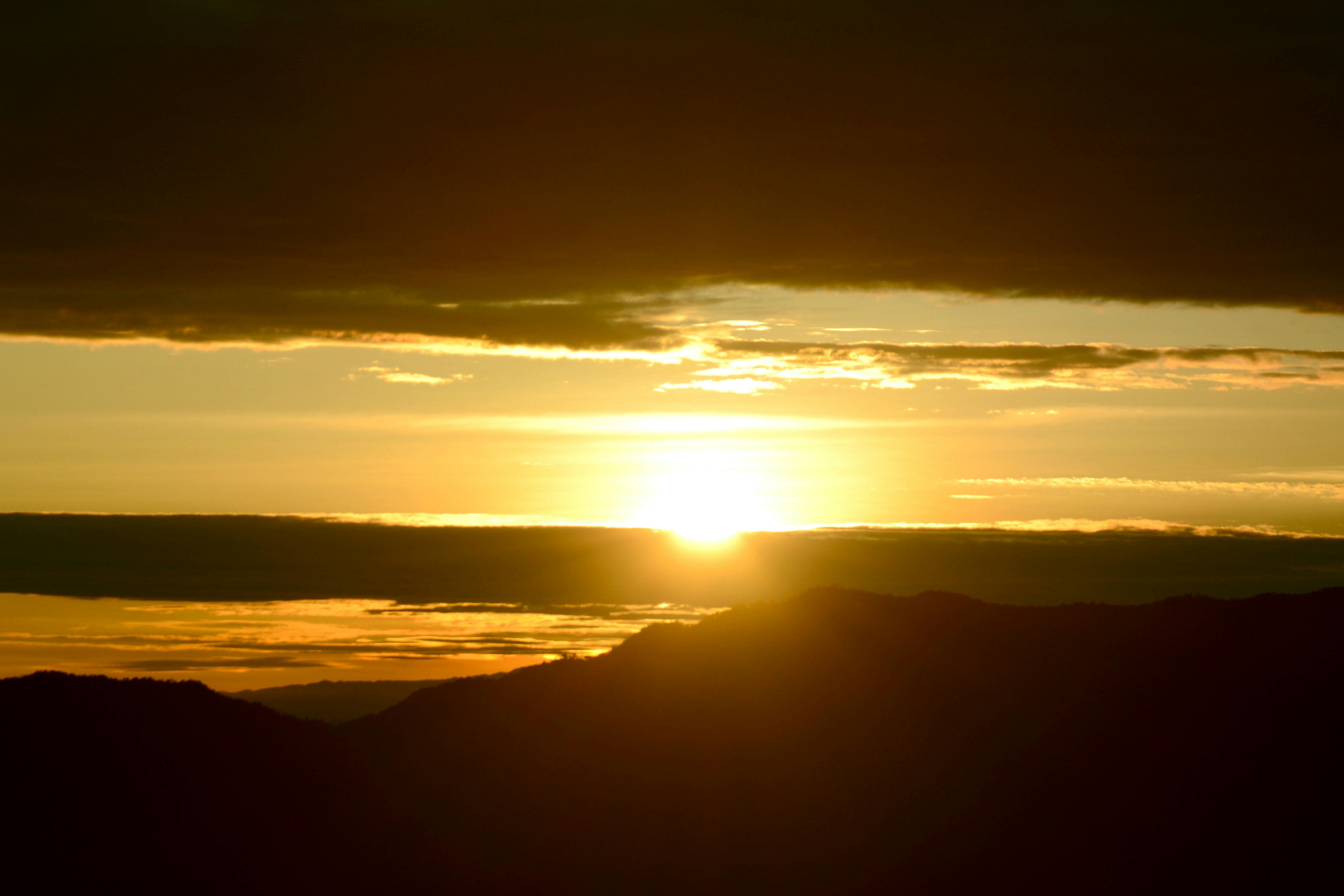 Friends sitting together on a couch watching television, seen from behind