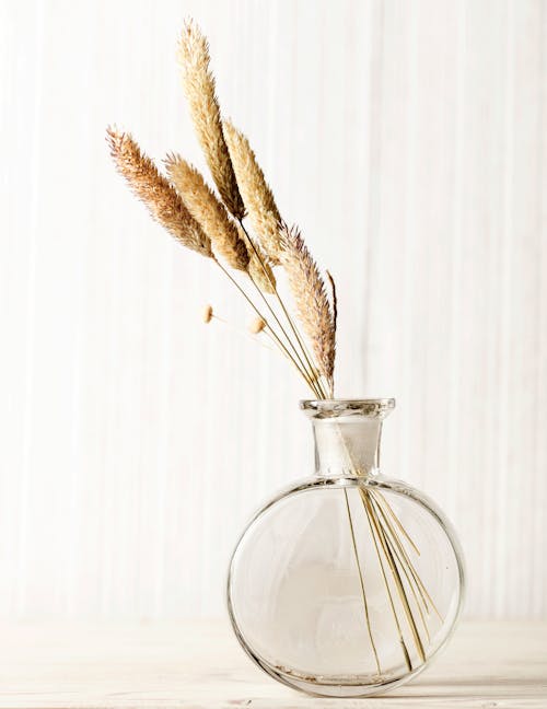 Dry Grass in a Glass Vase 