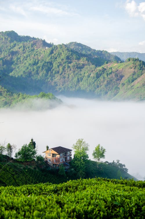山坡, 山谷, 有薄霧的 的 免費圖庫相片