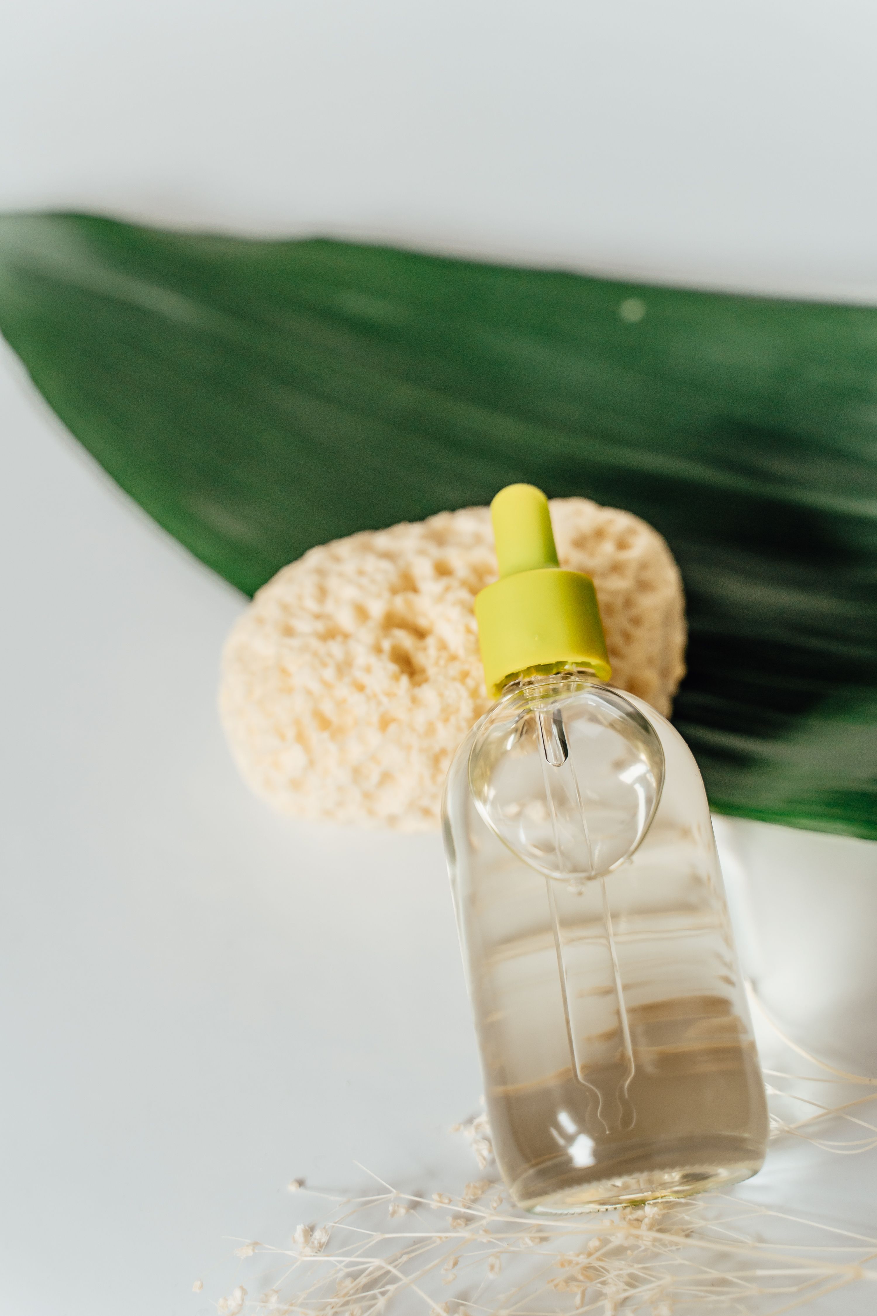 Close-up of a cosmetic oil bottle with green leaf and sponge, ideal for skincare products.