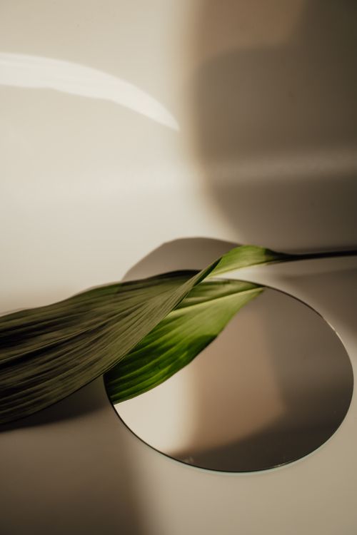 Free A leaf artistically positioned on a mirror creating a serene reflection in a minimalist setting. Stock Photo