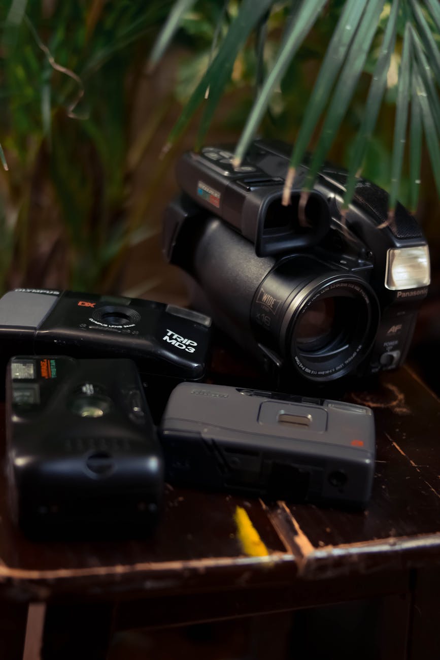Set of various vintage photo and video cameras placed on table under leaves of tropical plant