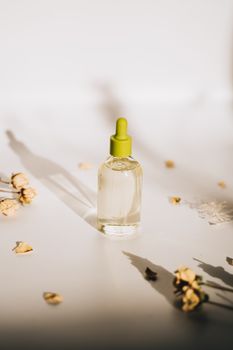 Minimalistic still life of a glass dropper bottle surrounded by dried flowers, ideal for skincare and aromatherapy themes.