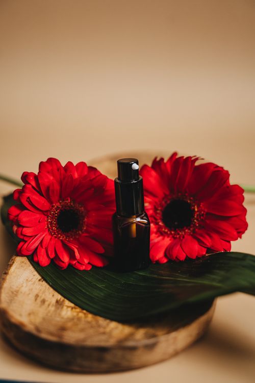 Free A stylish mockup featuring a spray bottle with vibrant red gerbera flowers elegantly set on a wooden base. Stock Photo