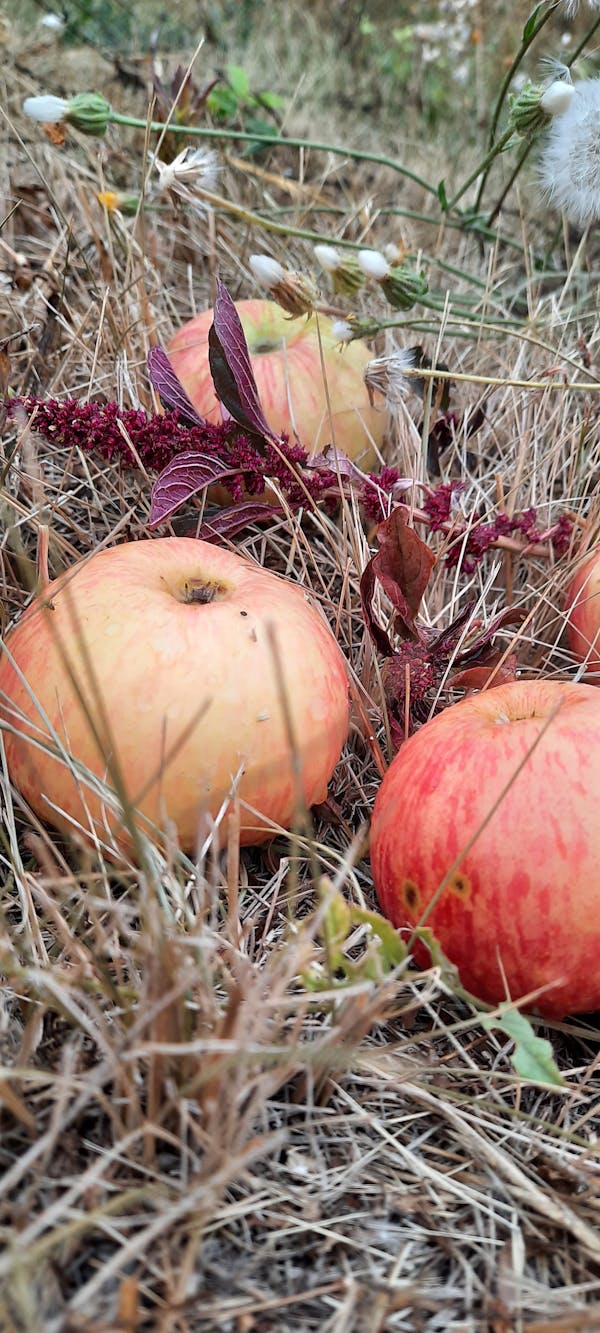La Roche-Posay vitamin C serum