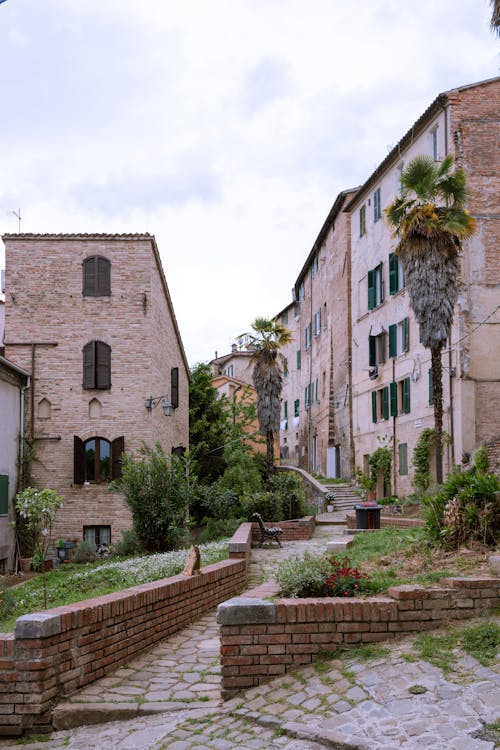 Photo of the Buildings