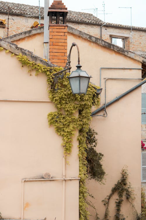 Building Facade Partially Covered with Ivy and a Lantern 