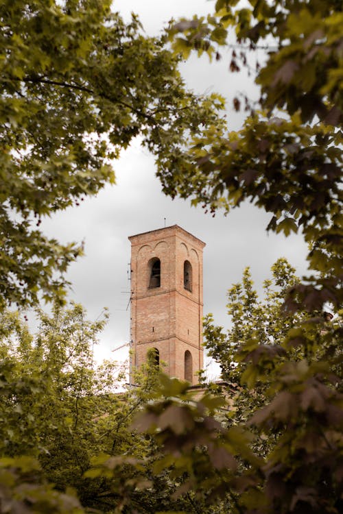 Immagine gratuita di alberi, architettura, chiesa