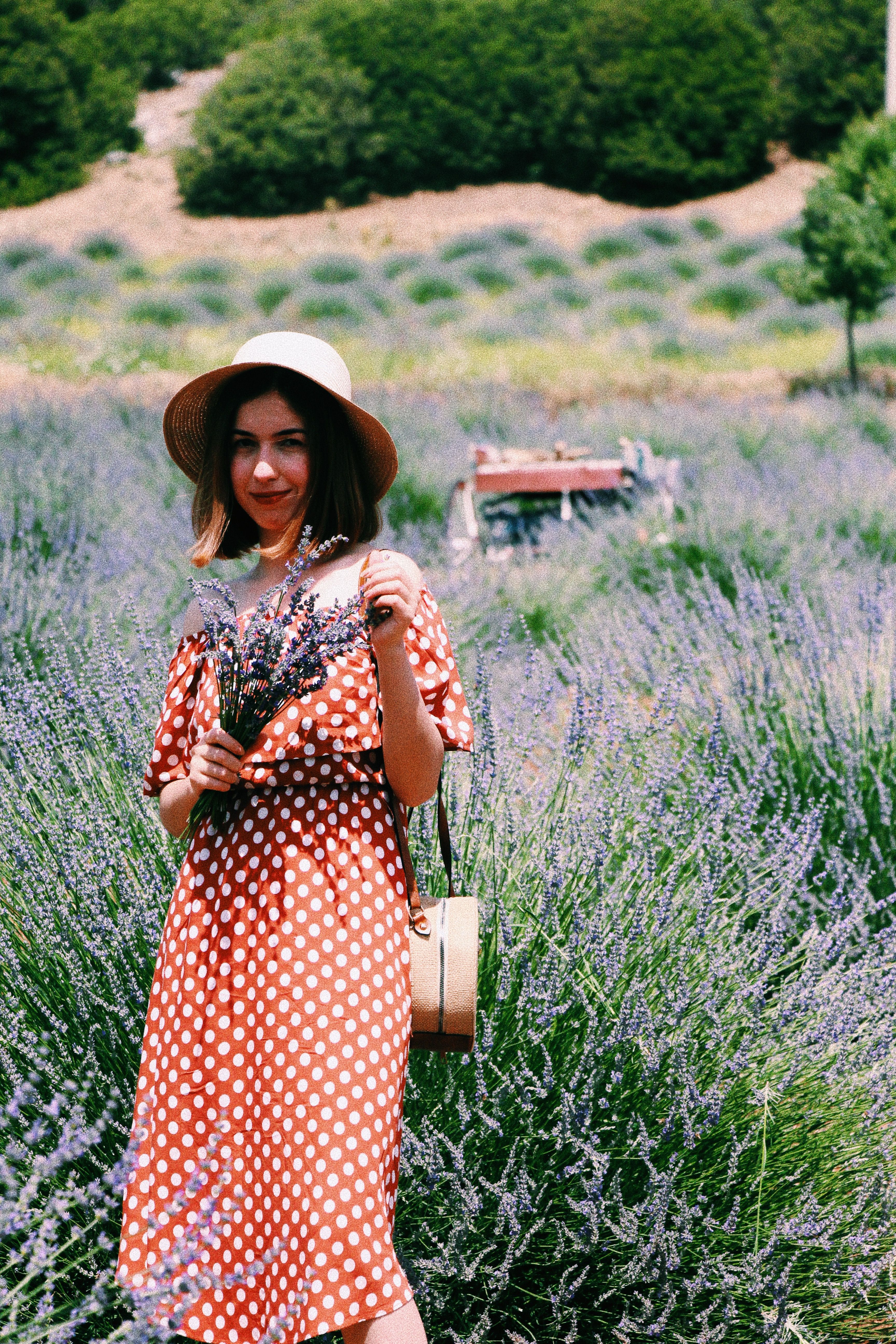 A woman in a polka dot dress stands in a lush lavender field holding flowers.
