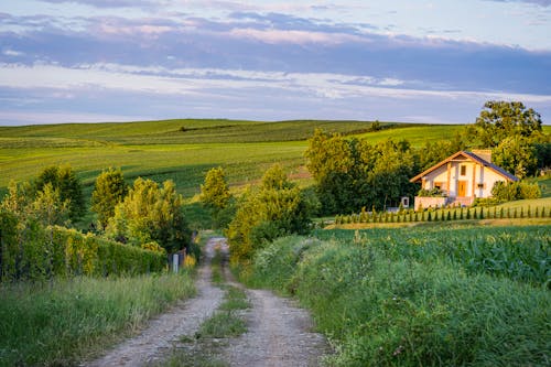 ポーランド, 地平線, 田舎の無料の写真素材
