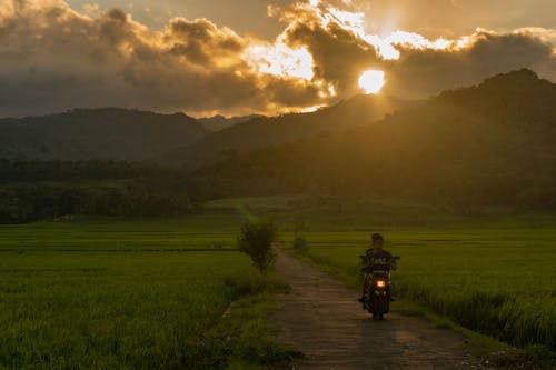 Bezpłatne Darmowe zdjęcie z galerii z motocykl, pole rolnicze, świt Zdjęcie z galerii