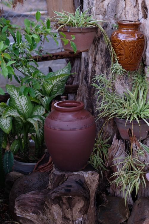 Free A serene garden display of clay pots surrounded by lush green plants, perfect for nature lovers. Stock Photo
