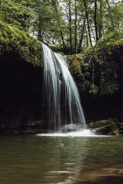 Бесплатное стоковое фото с вертикальный выстрел, водопад, водопад фон