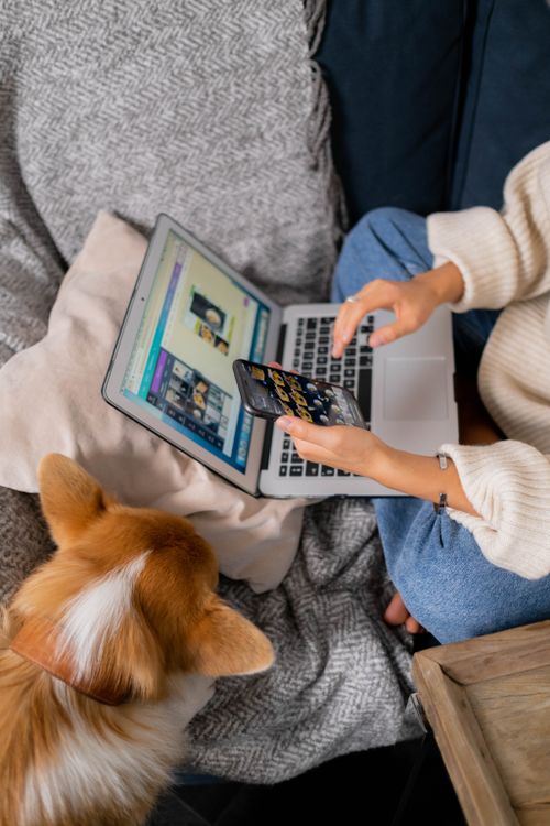 Free Overhead view of woman multitasking on laptop and smartphone with her dog beside her on the couch. Stock Photo