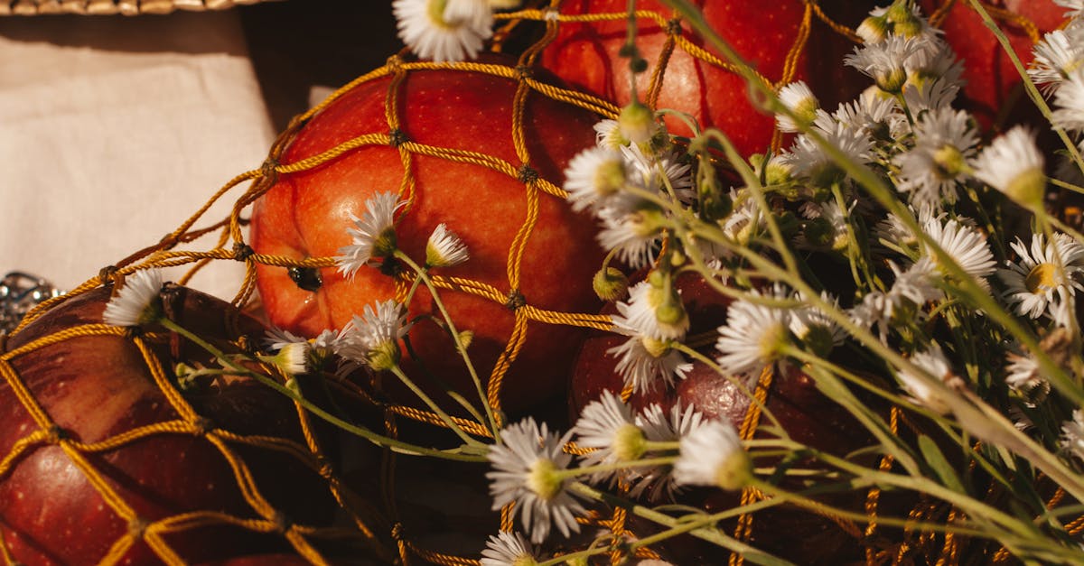 How to get rid of gnats outside without apple cider vinegar
