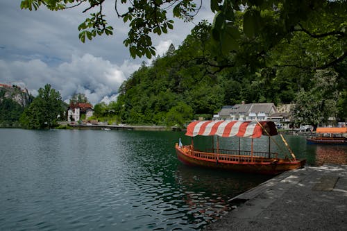 lakebled, 天性, 斯洛文尼亚 的 免费素材图片