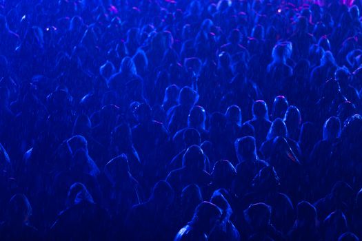 Silhouettes of a crowd in raincoats enjoying a night concert under colorful lights.