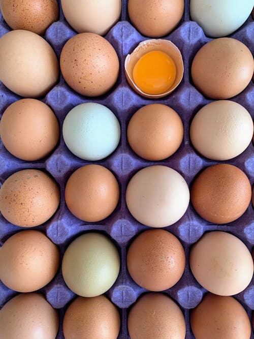 Brown Eggs on the Tray