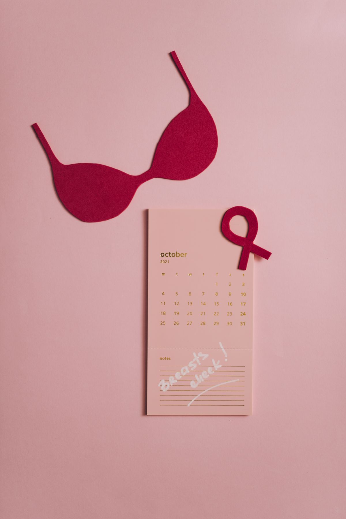 Octobre Rose : accompagner l'épreuve du cancer du sein par l'approche systémique et brève de Palo Alto